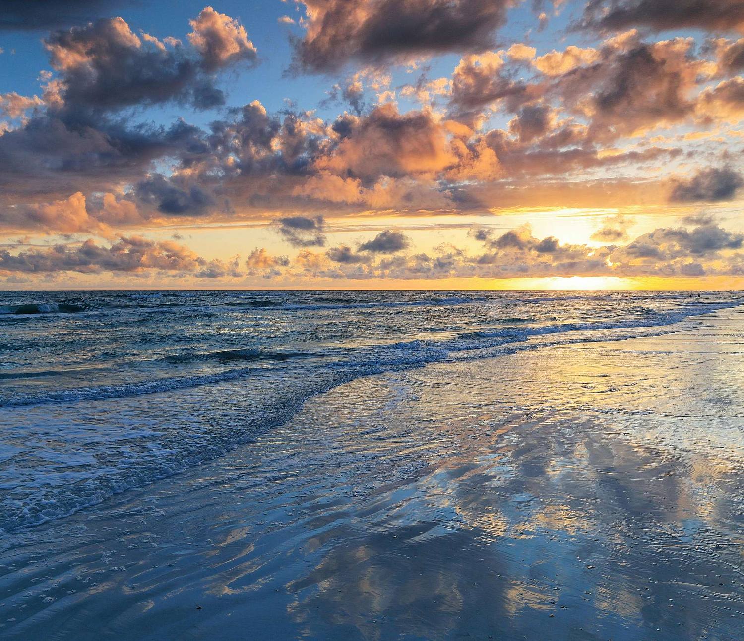 Nature & Motion