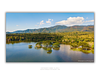 COLLECTION - FROM ABOVE HORIZONTAL - "Standing in Still Water" - LIMITED EDITION 10 of 10