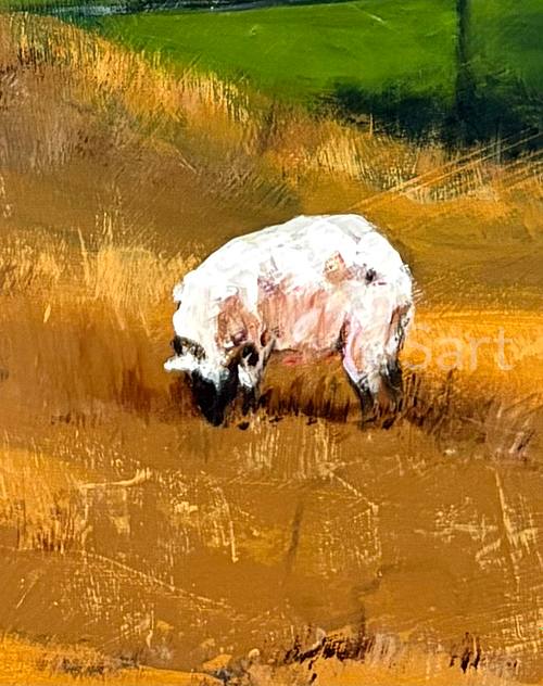 Sheep 100, Dales