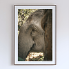 COLLECTION - GIANTS OF THE LAND VERTICAL - "Somewhere Else" - LIMITED EDITION 10 of 10