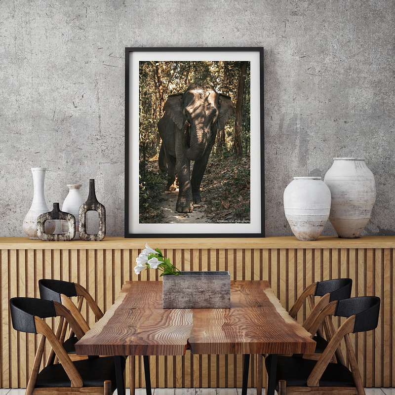 COLLECTION - GIANTS OF THE LAND VERTICAL -  "The Bright One" - LIMITED EDITION 10 of 10