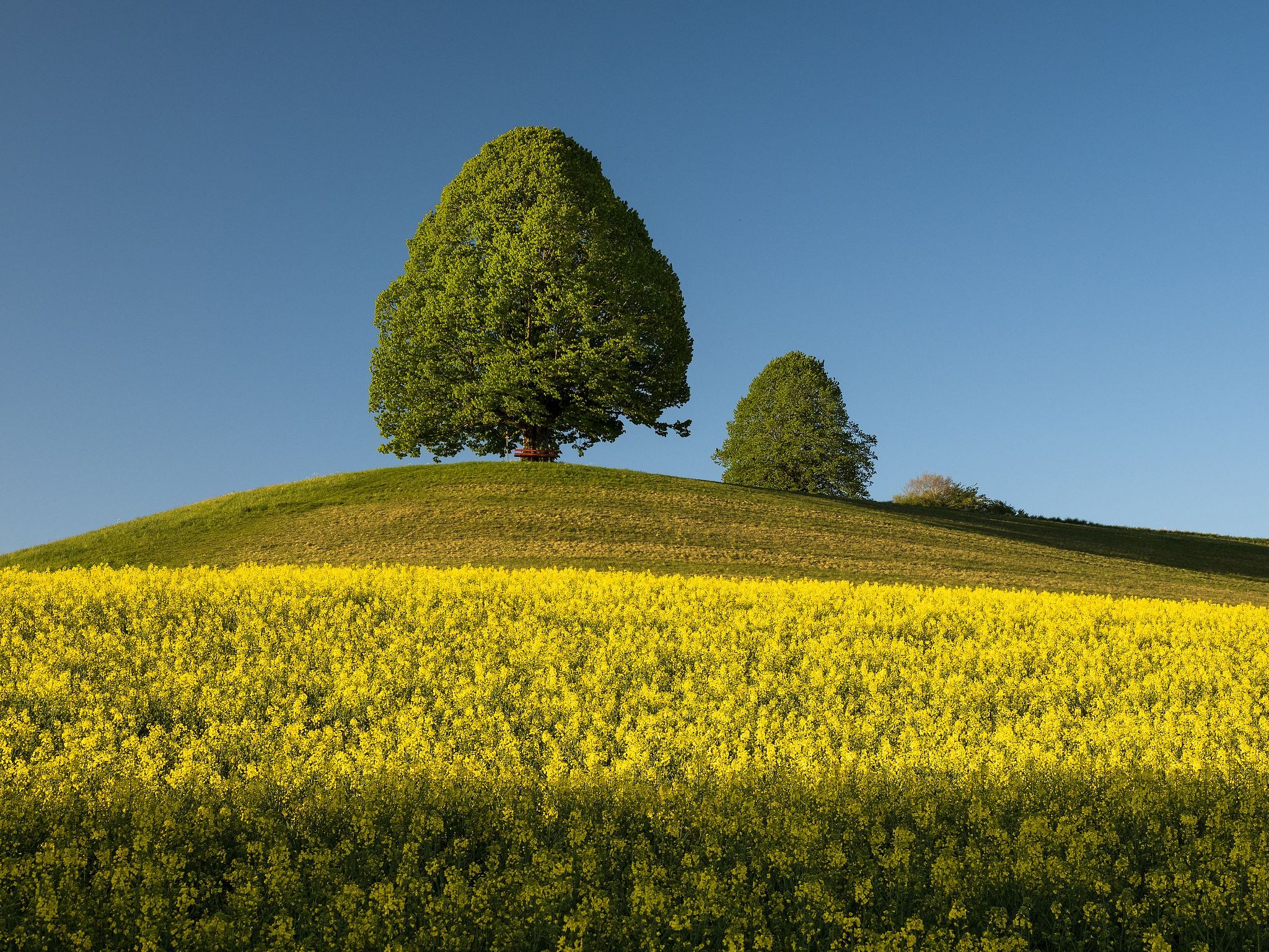 Zu den drei Linden