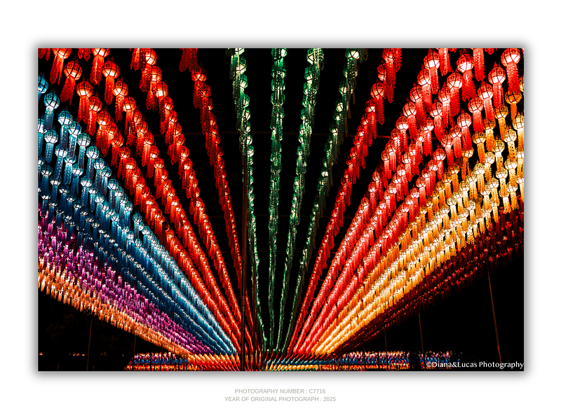THE ONE - LINES & SHAPES - "A Thousand Lanterns" - LIMITED EDITION 5 of 5