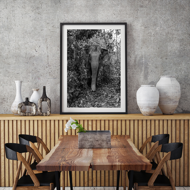 COLLECTION - GIANTS OF THE LAND VERTICAL - "Framed by Jungle" - LIMITED EDITION 10 of 10