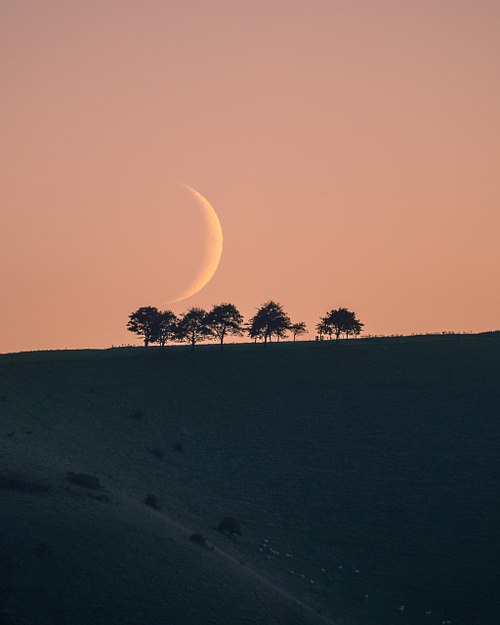 Crescent Moonset at Edburton Hil