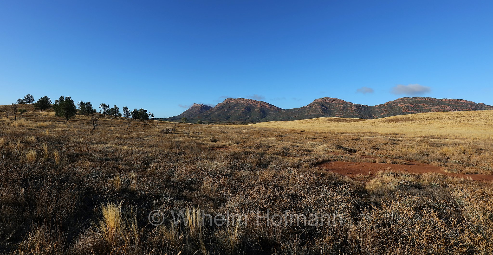 Wilpena Pound, Ikara–Flinders Ranges National Park, Ikara-Flinderskette-Nationalpark, parco nazionale Monti Flinders, South Australia, Südaustralien, Australia Meridionale, Australia, Australien