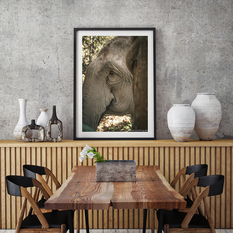 COLLECTION - GIANTS OF THE LAND VERTICAL - "Somewhere Else" - LIMITED EDITION 10 of 10
