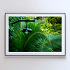 THE ONE - WILDLIFE & NATURE - "Lost in the Canopy" - LIMITED EDITION 5 of 5