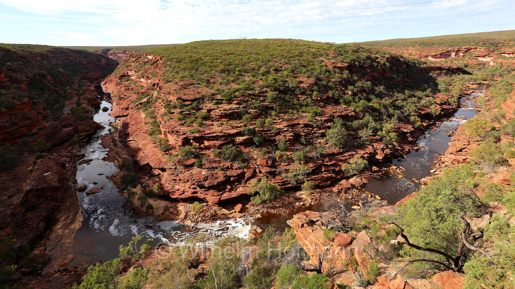 Z Bend, Murchison River Gorge, Kalbarri National Park, Kalbarri-Nationalpark, Parco nazionale Kalbarri, Western Australia, Westaustralien, Australia Occidentale, Australia, Australien