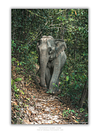 COLLECTION - GIANTS OF THE LAND VERTICAL - "She Knows This Corner" - LIMITED EDITION 9 of 10