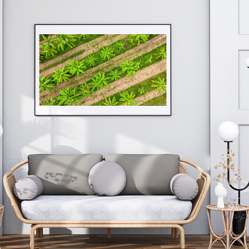 THE ONE - AERIAL PRINTS - "In The Rows" - LIMITED EDITION 5 of 5