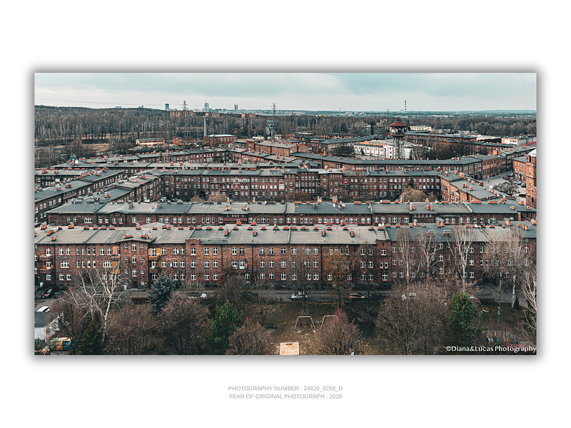 COLLECTION - FROM ABOVE HORIZONTAL - "The Long Facade" - LIMITED EDITION 10 of 10