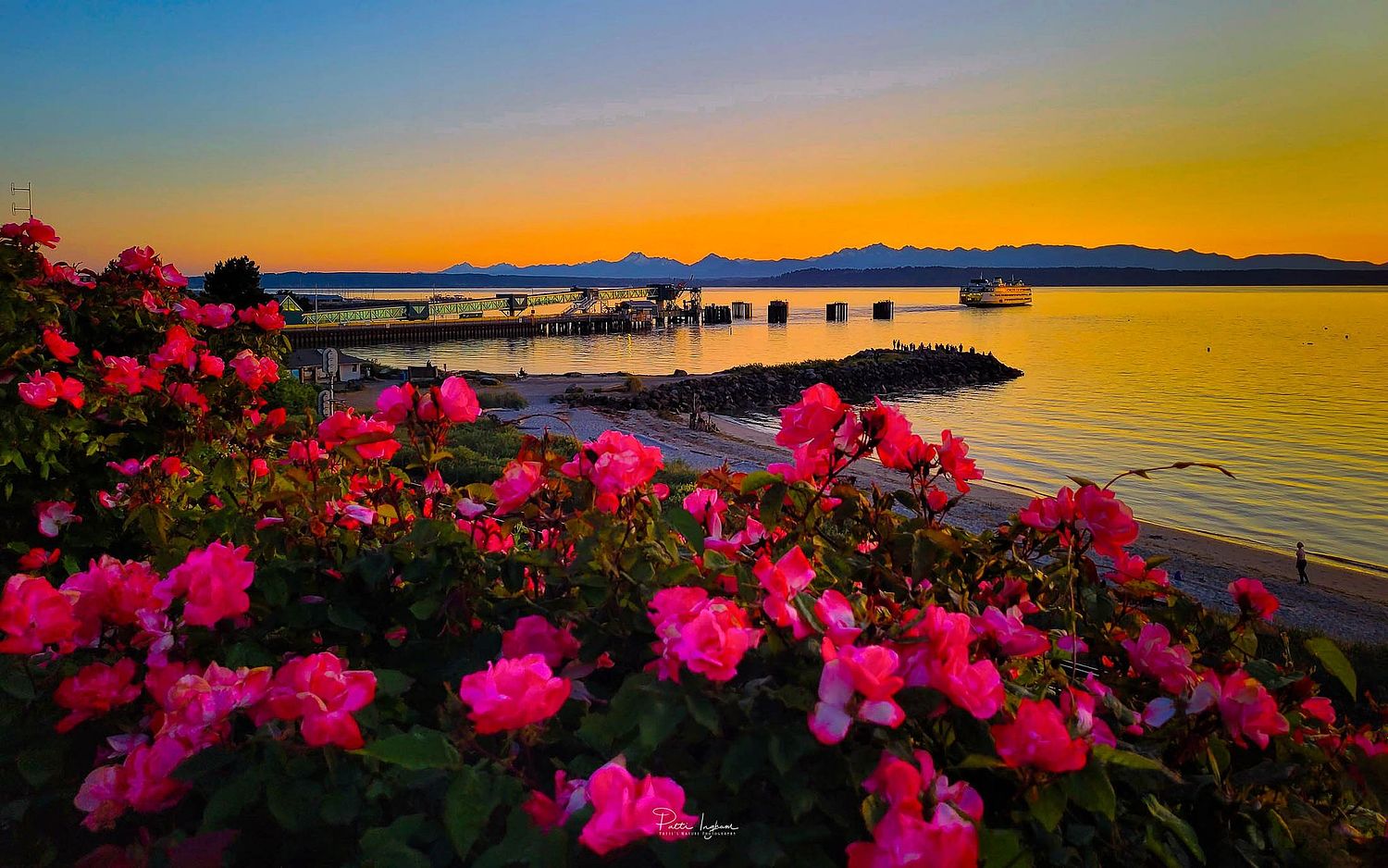 Patti's Nature Photography