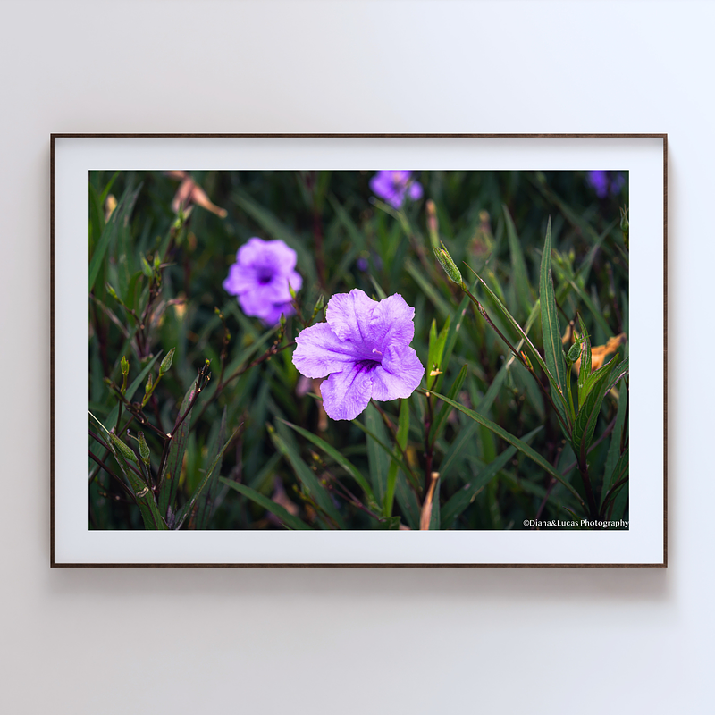 THE ONE - WILDLIFE & NATURE - "Amethyst Bloom" - LIMITED EDITION 5 of 5