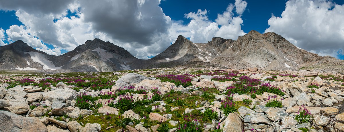 East of Angel