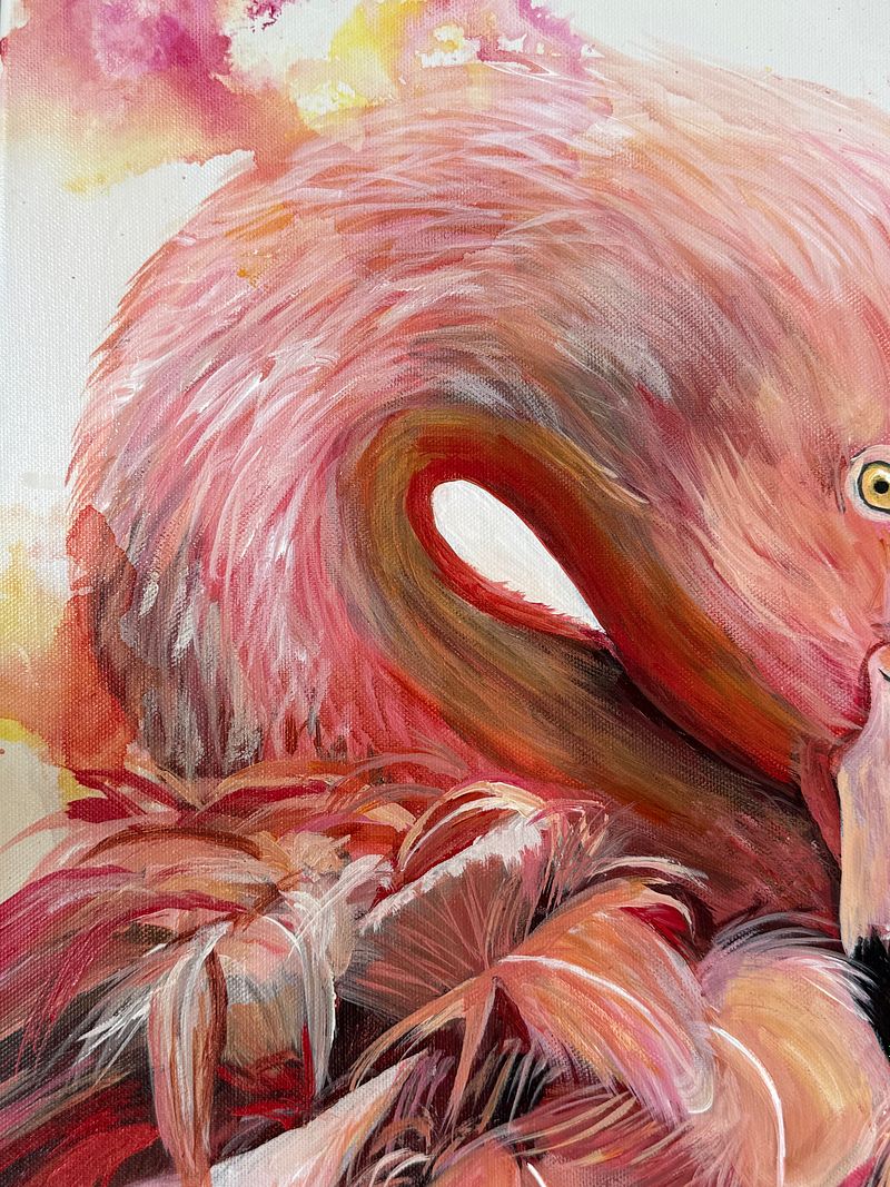 Fluid Flamingo