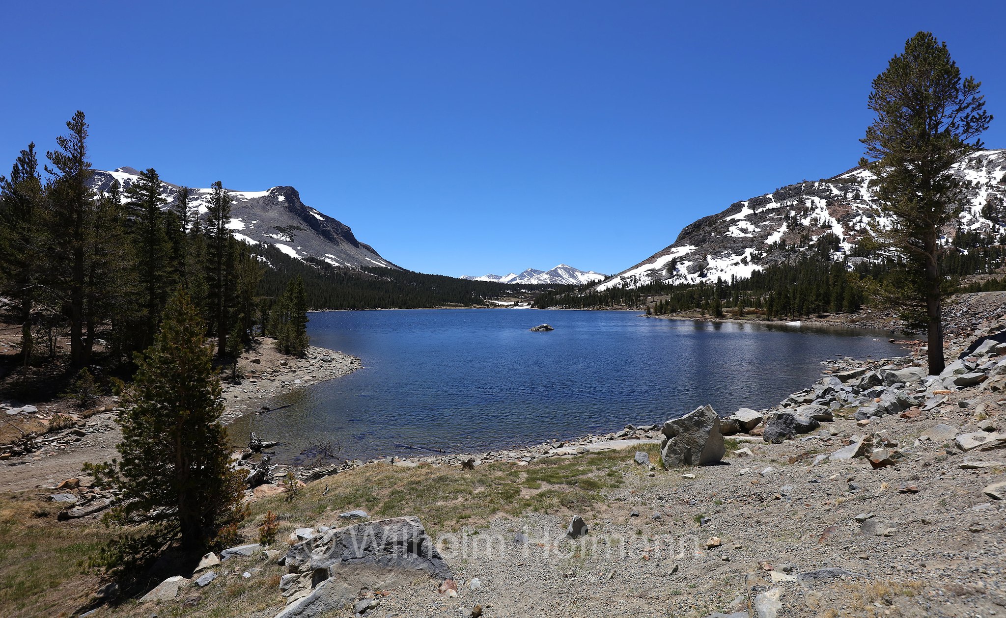 Tioga Lake, Tioga Pass, Yosemite National Park, Yosemite-Nationalpark, Parco nazionale di Yosemite, Kalifornien, California, USA