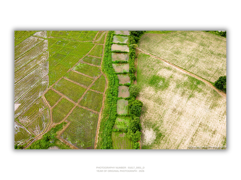 THE ONE - AERIAL PRINTS - "The Middle One" - LIMITED EDITION 5 of 5