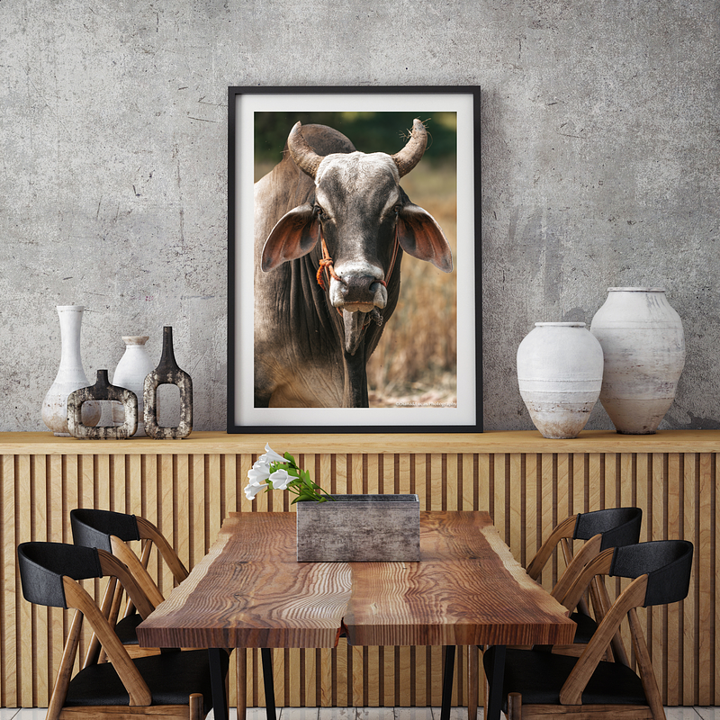 COLLECTION - GIANTS OF THE LAND VERTICAL - "The Stare" - LIMITED EDITION 10 of 10