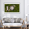 THE ONE - AERIAL PRINTS - "White Roof" - LIMITED EDITION 5 of 5