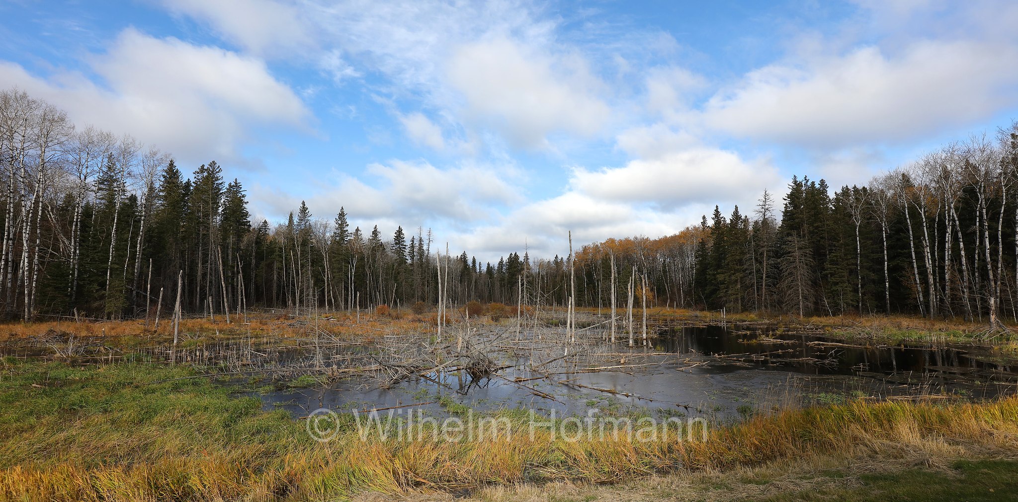 Autumn Landscape, Riding Mountain National Park, Riding-Mountain-Nationalpark, Parco nazionale di Riding Mountain, Manitoba, Canada, Kanada