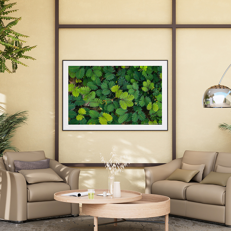 THE ONE - WILDLIFE & NATURE - "Tropical Mosaic" - LIMITED EDITION 5 of 5