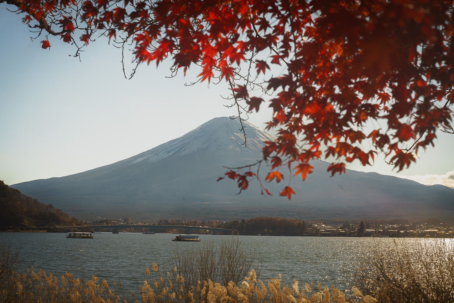 Mont Fuji encadré par des feuilles d'érable rouge