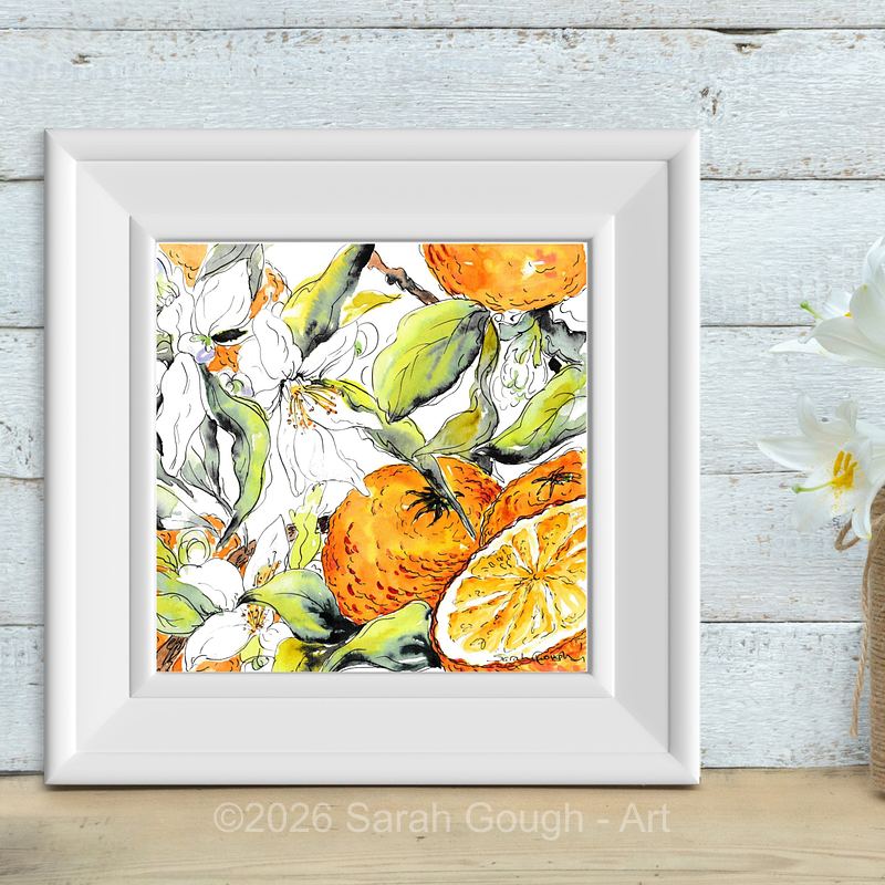 Orange Blossom & Citrus Fruit | Botanical Art Print
