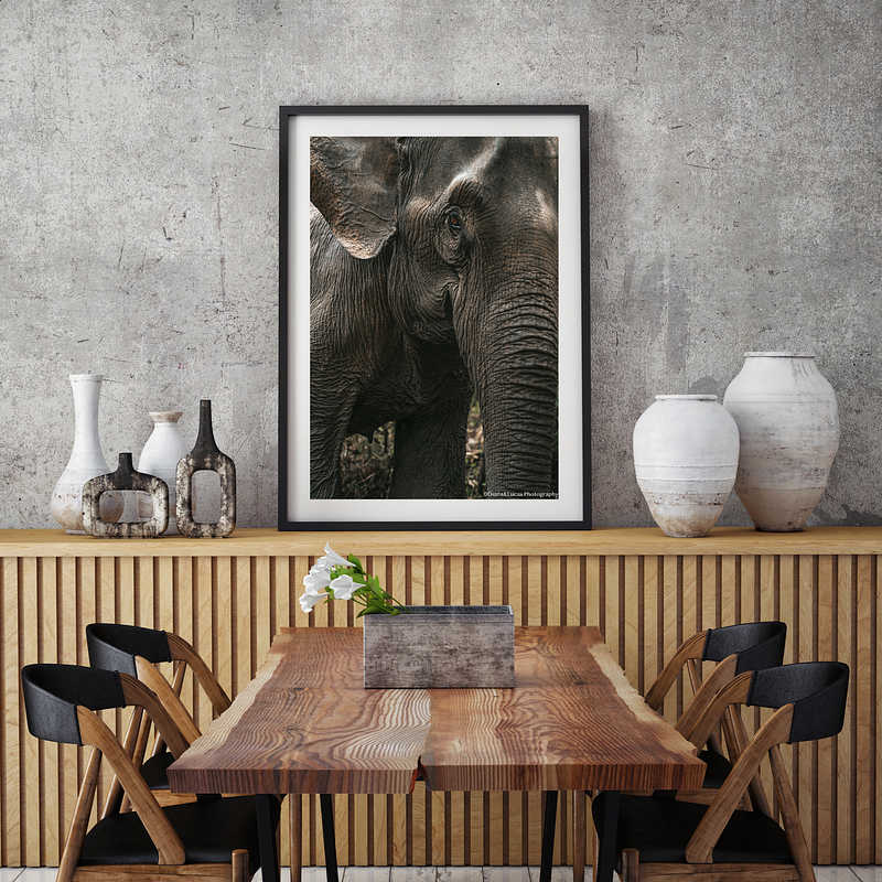 COLLECTION - GIANTS OF THE LAND VERTICAL - "That Color" - LIMITED EDITION 10 of 10