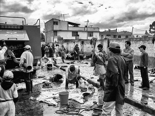 Ecuador | 2003