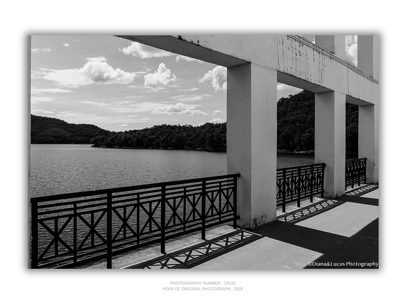 THE ONE - WILDLIFE & NATURE - "The Water Beyond" - LIMITED EDITION 5 of 5