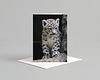 Snow Leopard Card Pack