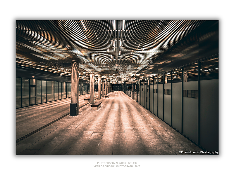 THE ONE - LINES & SHAPES - "Empty Passage" - LIMITED EDITION 5 of 5