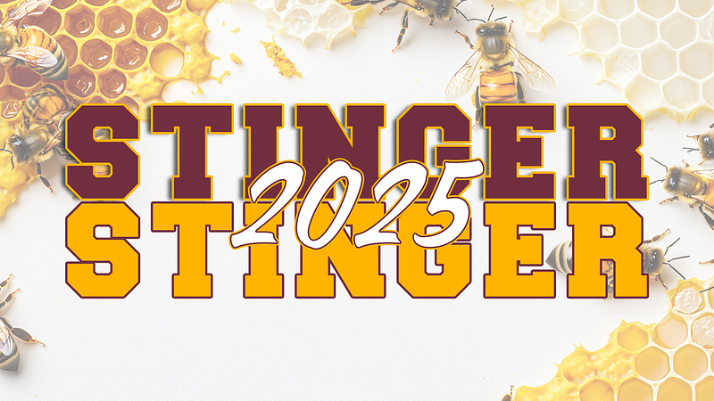 Stinger 2025