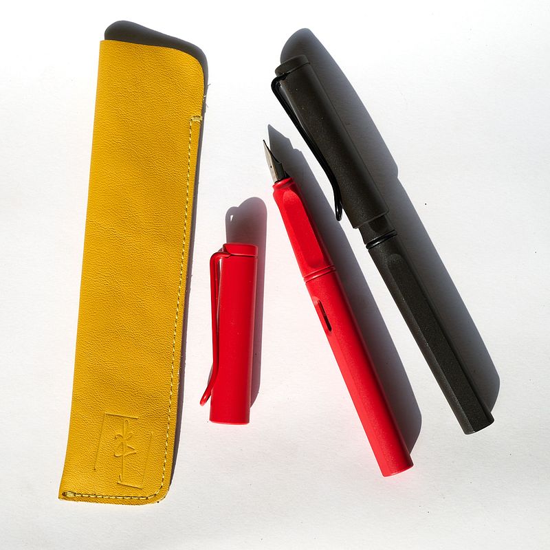 Skins : Classique Leather Pen Case