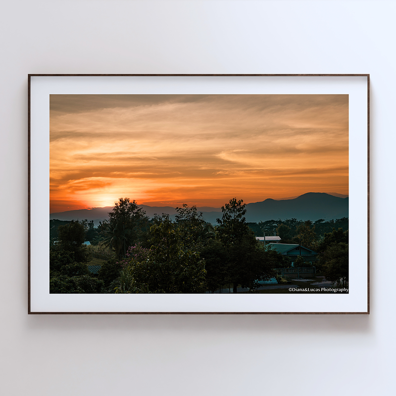 THE ONE - WILDLIFE & NATURE - "Orange Hour" - LIMITED EDITION 5 of 5