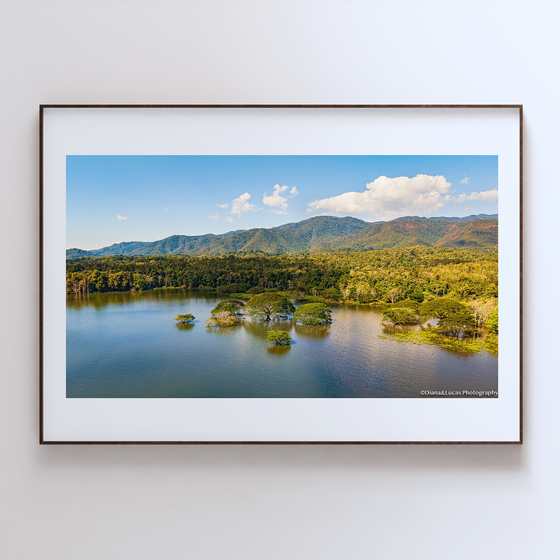 COLLECTION - FROM ABOVE HORIZONTAL - "Standing in Still Water" - LIMITED EDITION 10 of 10
