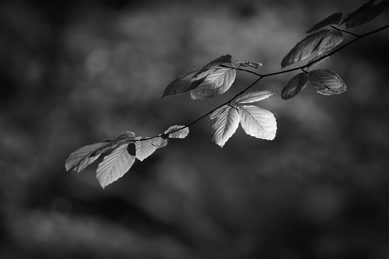 Simple things to improve your photography