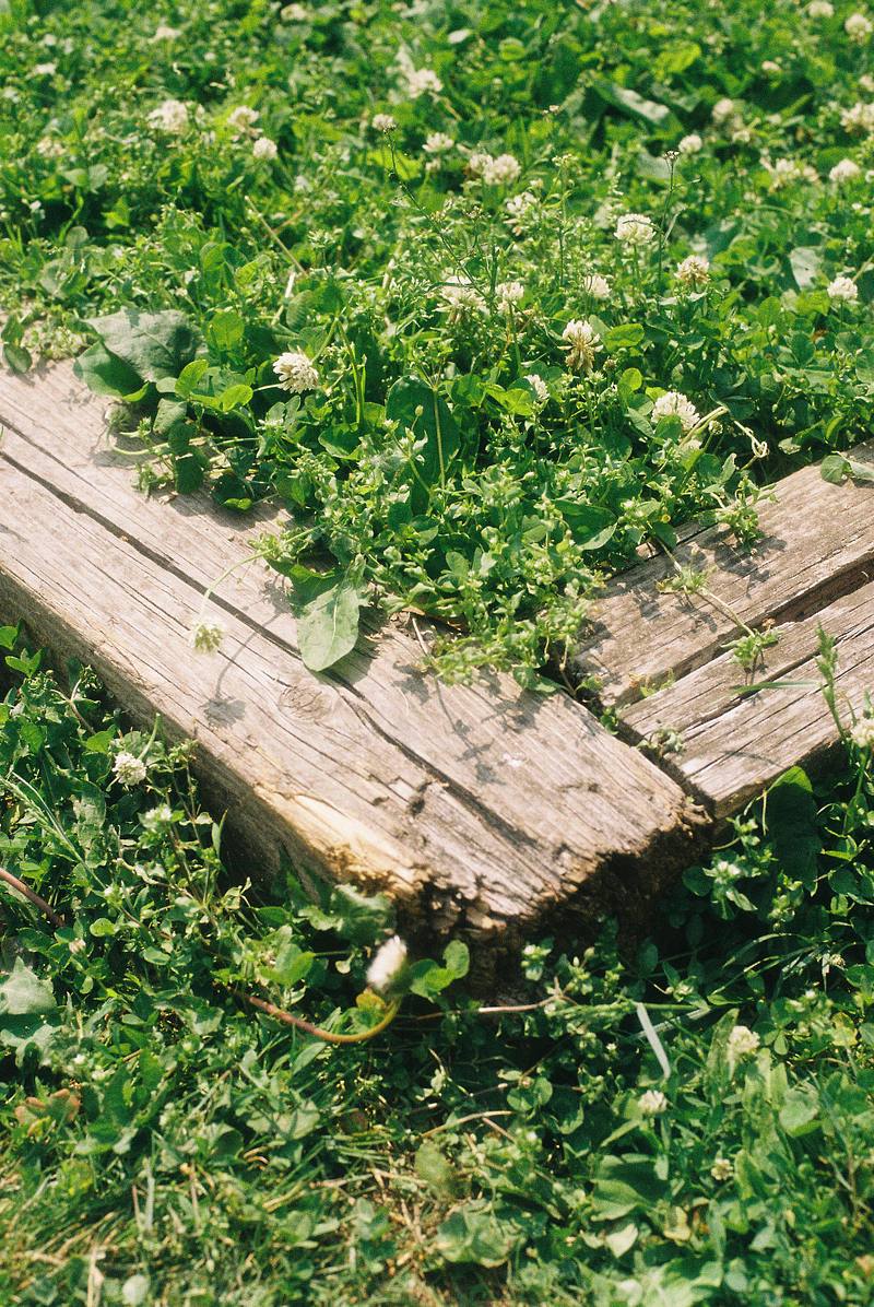 Petra Collins Photography Assignment #1: