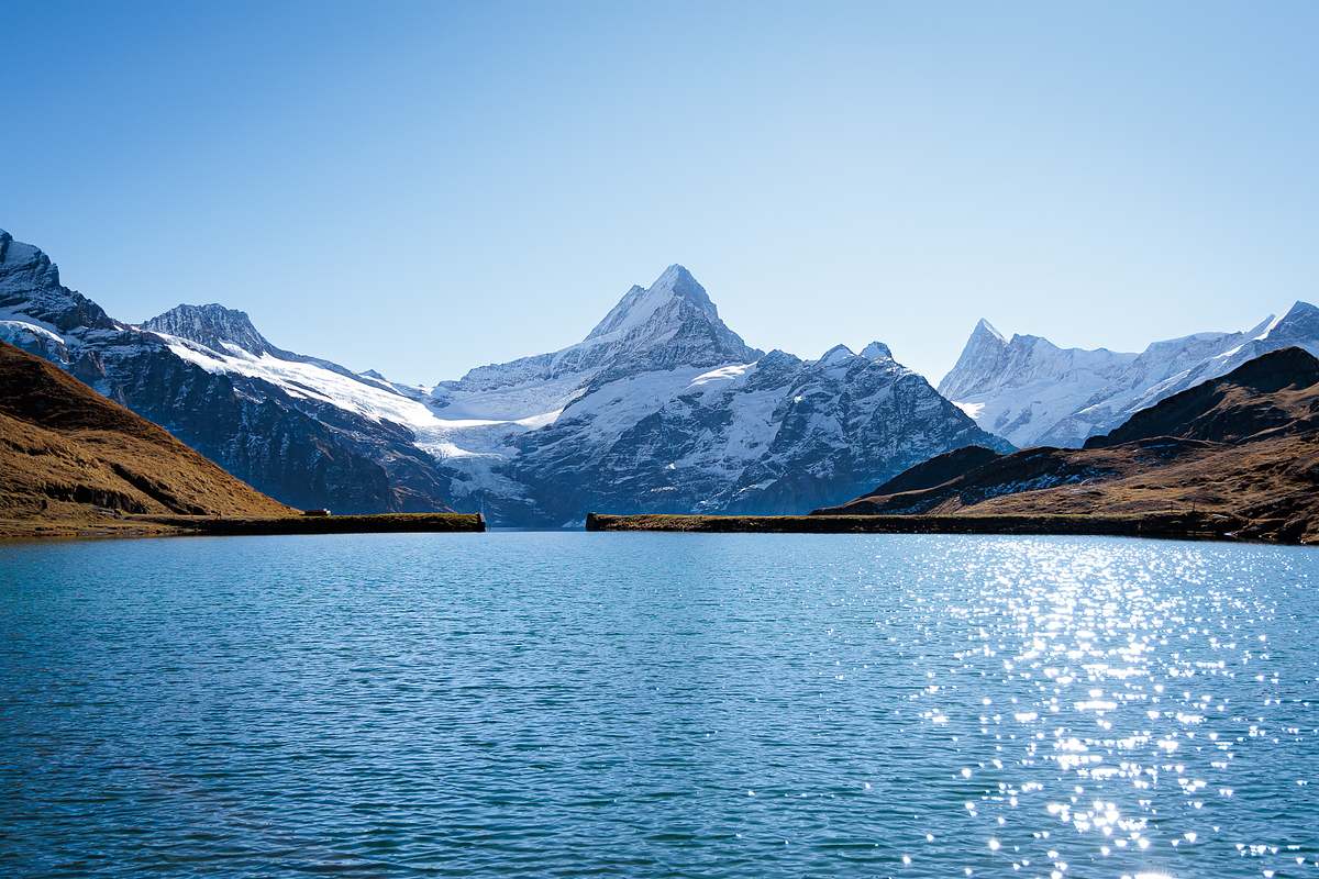 Erh&ouml;hter Blick auf den tiefblauen Bachalpsee mit Sonnenlichtreflexen, goldbraunen Uferh&auml;ngen und der schneebedeckten Schreckhorngruppe im Hintergrund bei Nachmittagslicht