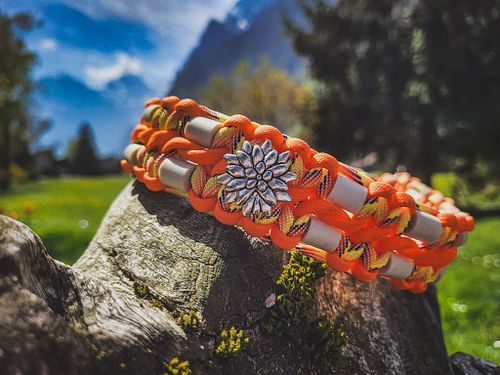 Warum ein EM-Halsband f&uuml;r meinen Hund?