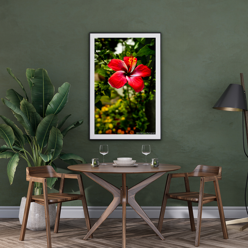 THE ONE - WILDLIFE & NATURE - "Open Flame" - LIMITED EDITION 5 of 5