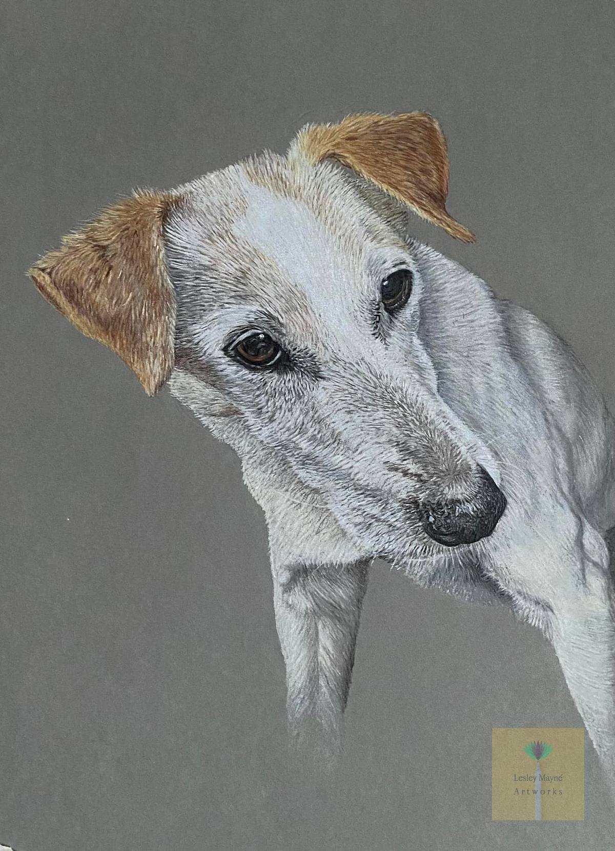 Jack Russell Pet Portrait