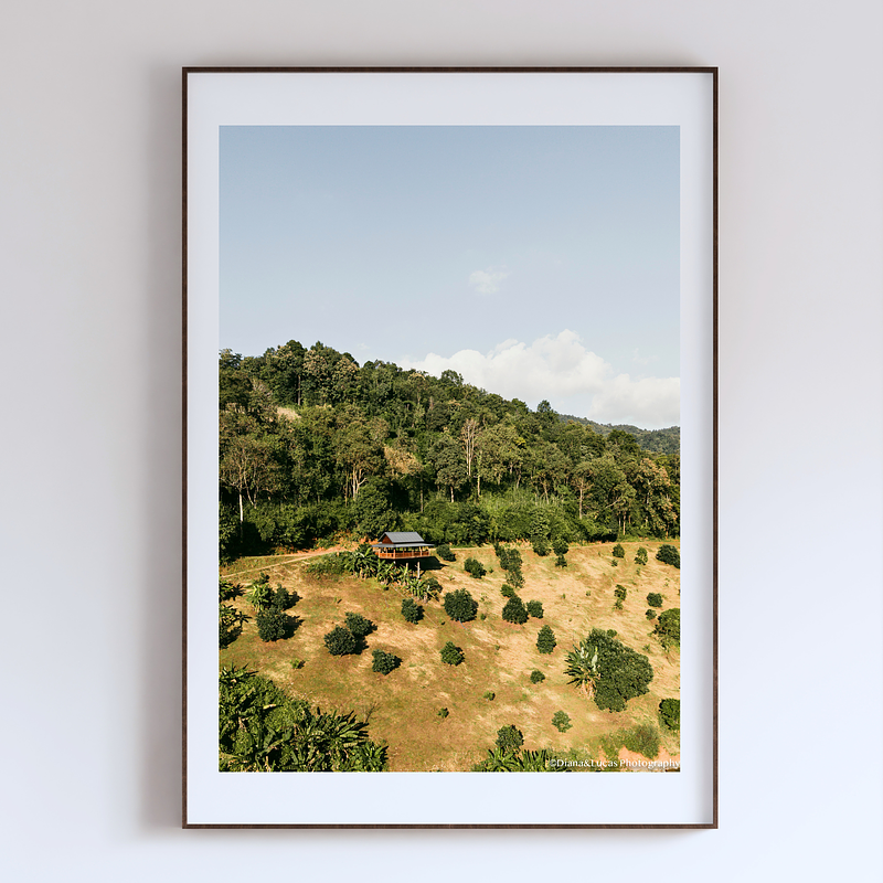 COLLECTION - FROM ABOVE VERTICAL - "The Only House" - LIMITED EDITION 10 of 10