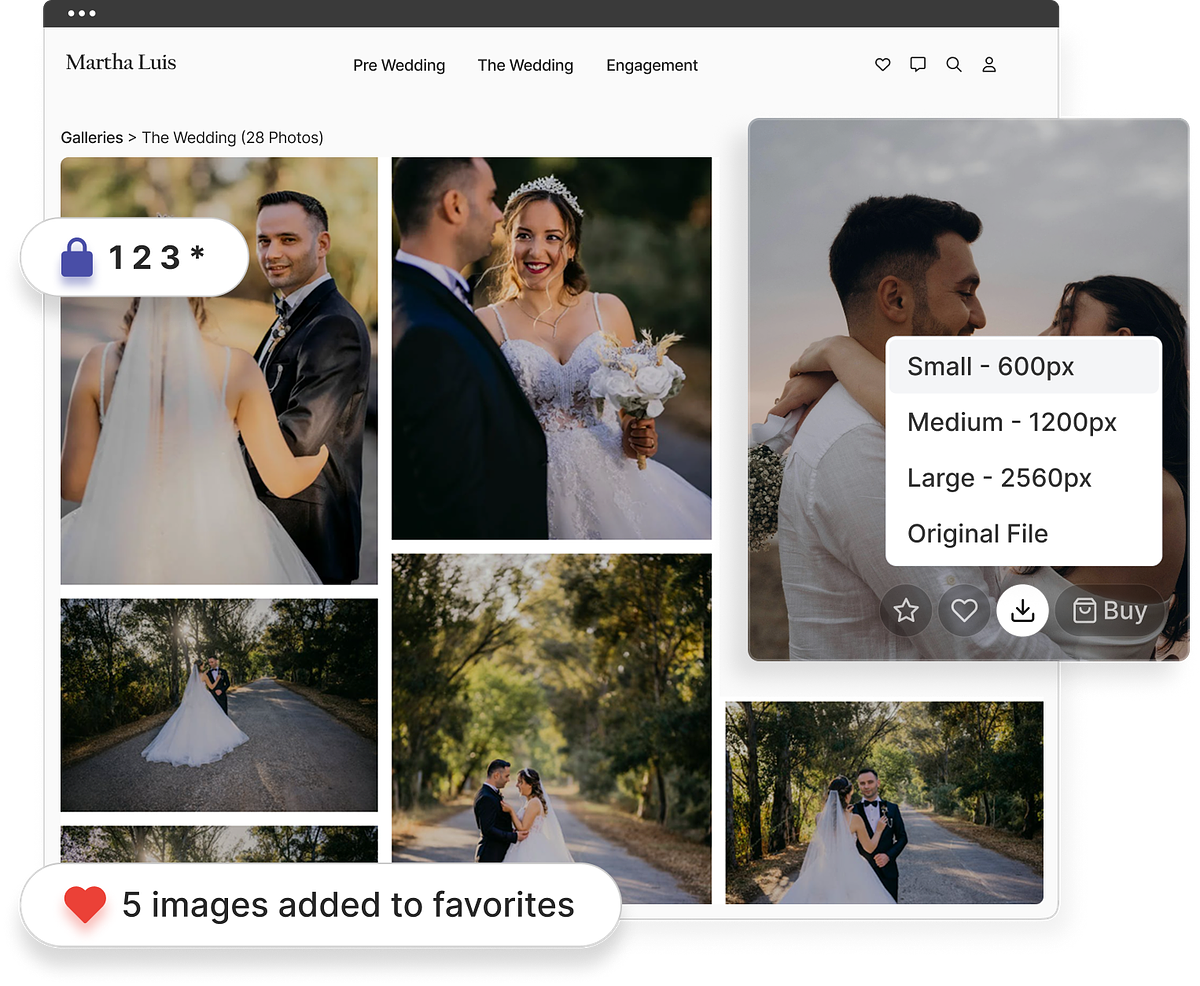 A branded Pixpa proofing gallery with password protection and download-size options