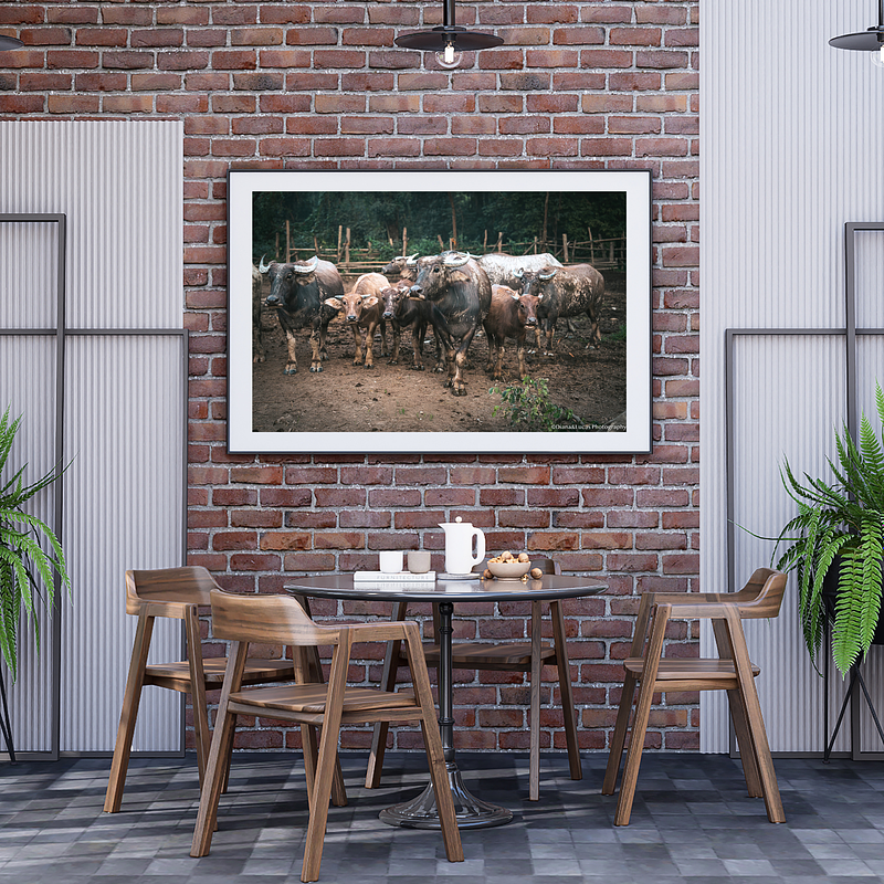 COLLECTION - GIANTS OF THE LAND HORIZONTAL - "All Eyes Forward" - LIMITED EDITION 9 of 10