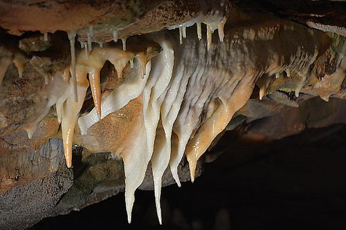 Cave Milk                                