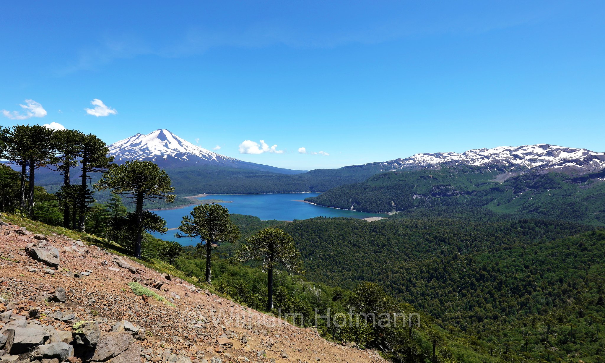 Volcán Llaima, Llaima Volcano, Llaima, Monte Llaima, Conguillío Lake, Laguna Conguillío, Sierra Nevada, Conguillío National Park, Nationalpark Conguillío, Parco nazionale di Conguillío, Araucanía Region, Región de La Araucanía, Regione dell'Araucanía, Chile, Cile