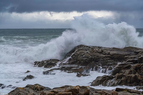 Nature & Landscape Gallery 1