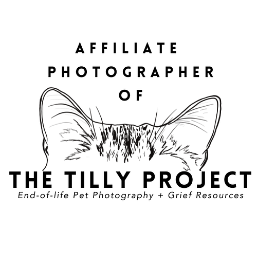 thetillyproject.org
